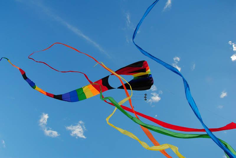 2011 Thunder Bay Kite Festival