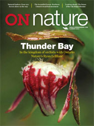 Thunder Bay in ON Nature