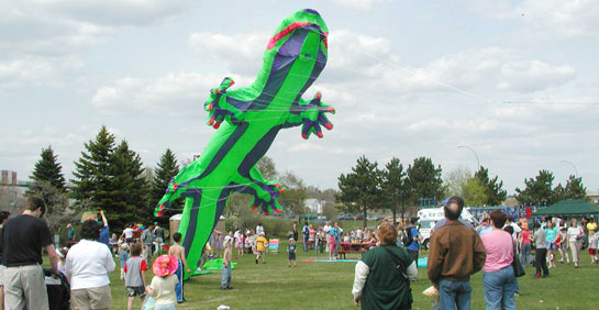 Kite Festival Ready to Take Flight