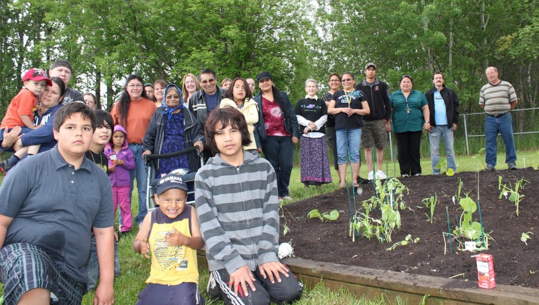 Growing Together with the Community: ONWA Plants Annual Garden