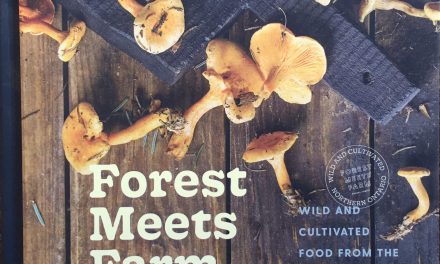 Forest Meets Farm – Roots to Harvest