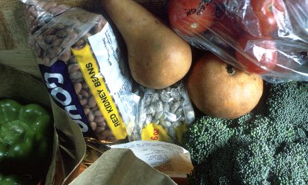 Thunder Bay Area Food Strategy Warns of Food Security Crisis