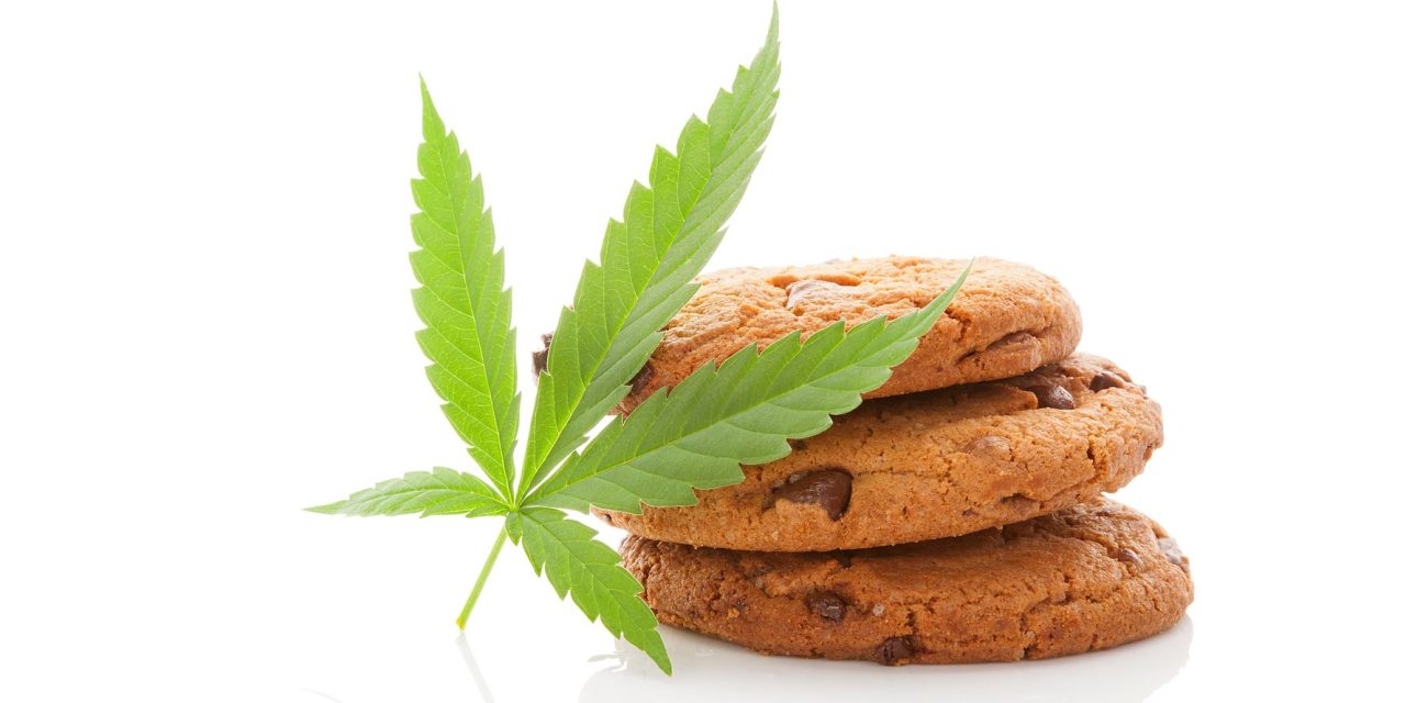 Prescription Munchies? A Look at Cancer Care and Cannabis